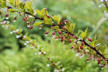 Similar image 21633766