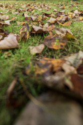 Similar image 21634271