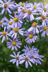 Similar image 21633768