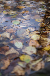 Similar image 21633769