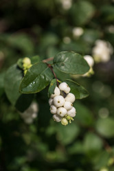 Similar image 21634274