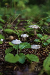 Similar image 21634275