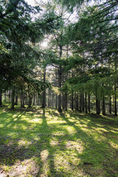 Similar image 21634276