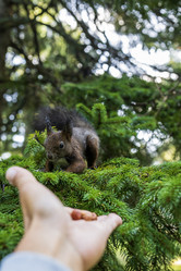 Similar image 21633770