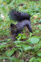 Similar image 21633771