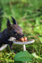 Similar image 21633772