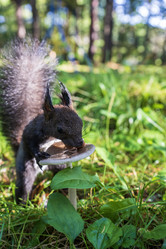 Similar image 21633773