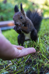 Similar image 21633774