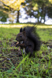 Similar image 21633775