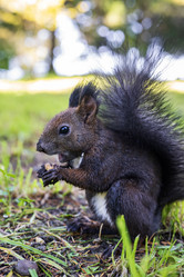 Similar image 21633776