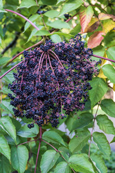 Similar image 21634277