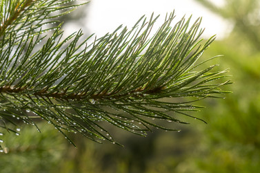 Similar image 21633988