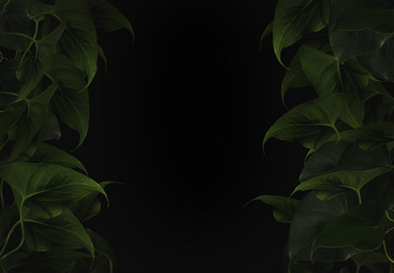 Similar image 21634005