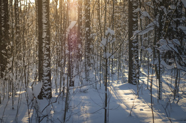 Similar image 21634015