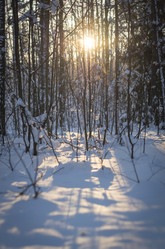 Similar image 21634017