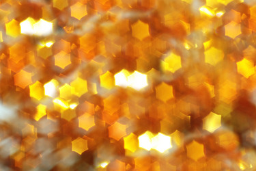 Similar image 21634029