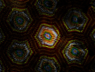 Similar image 21643181