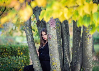 Similar image 21635325