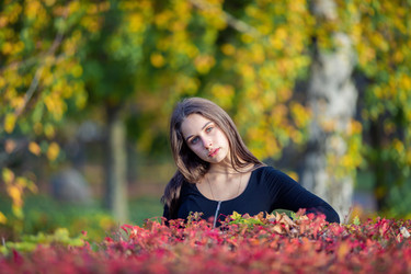 Similar image 21635336