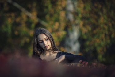 Similar image 21635358