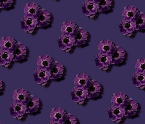 Similar image 21634072