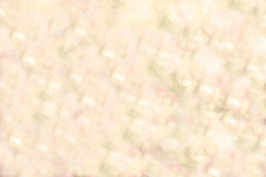 Similar image 21634088