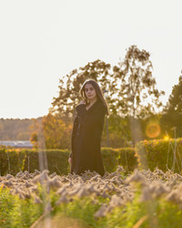 Similar image 21635403