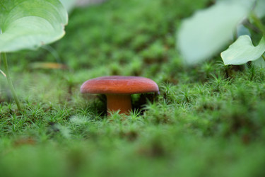 Similar image 21634251