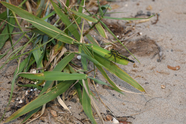 Similar image 21634254