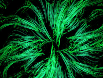 Similar image 21643574