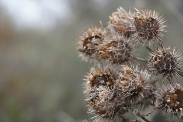 Similar image 21634360