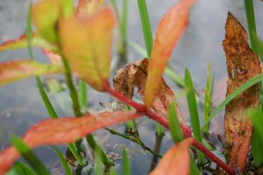 Similar image 21634361