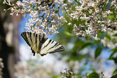 Similar image 21634205