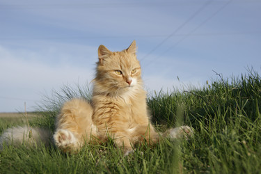 Similar image 21634206