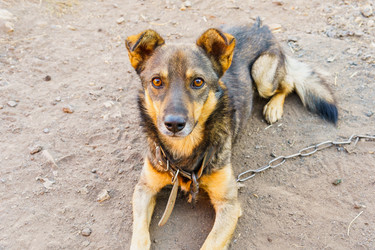 Similar image 21639456