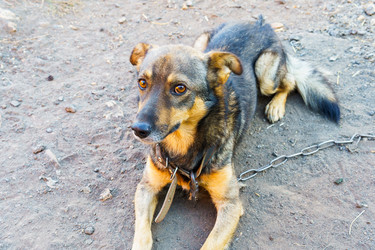 Similar image 21639457