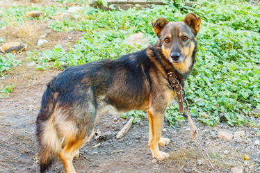 Similar image 21639458