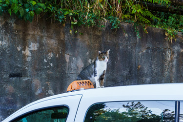 Similar image 21634283