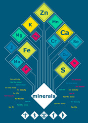 Similar image 21636258