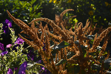 Similar image 21634374