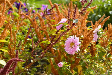 Similar image 21634376