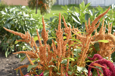 Similar image 21634377