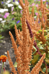 Similar image 21634378