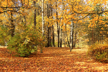 Similar image 21634535