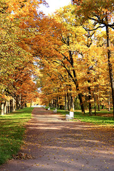 Similar image 21634536