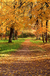 Similar image 21634537