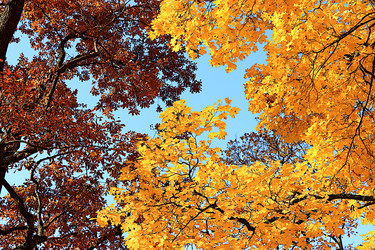 Similar image 21634538