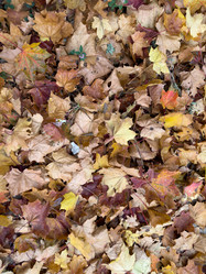 Similar image 21636447