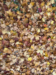 Similar image 21636448