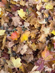 Similar image 21636449